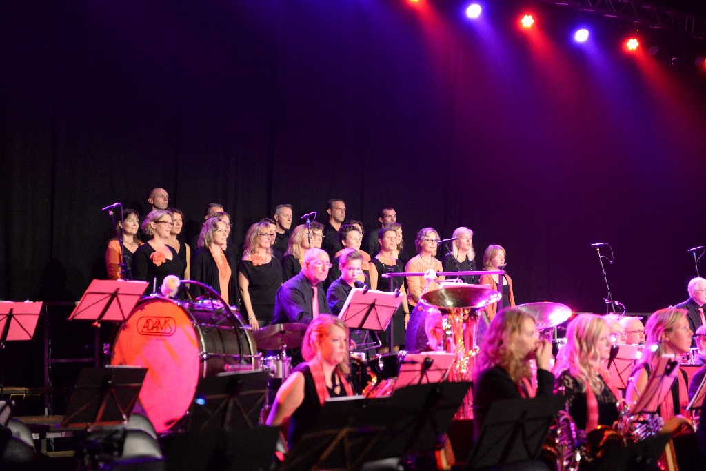 ../Images/Jubileumconcert 100 jaar Harpe Davids 214.jpg
